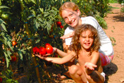 tenuta agricola